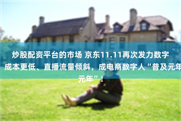 炒股配资平台的市场 京东11.11再次发力数字人：成本更低、直播流量倾斜，成电商数字人“普及元年”！