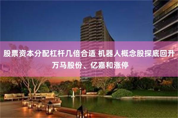 股票资本分配杠杆几倍合适 机器人概念股探底回升 万马股份、亿嘉和涨停