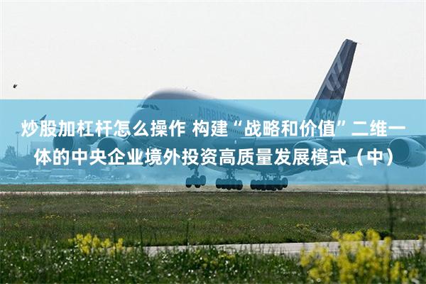 炒股加杠杆怎么操作 构建“战略和价值”二维一体的中央企业境外投资高质量发展模式（中）