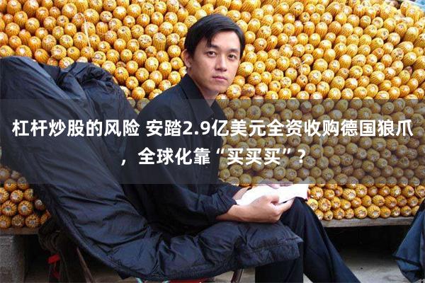 杠杆炒股的风险 安踏2.9亿美元全资收购德国狼爪，全球化靠“买买买”？