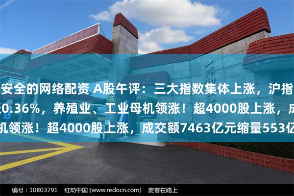 安全的网络配资 A股午评：三大指数集体上涨，沪指涨0.18%创业板指涨0.36%，养殖业、工业母机领涨！超4000股上涨，成交额7463亿元缩量553亿