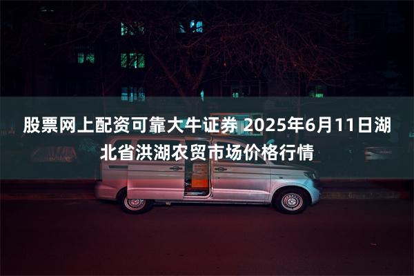 股票网上配资可靠大牛证券 2025年6月11日湖北省洪湖农贸市场价格行情