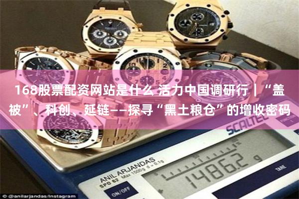 168股票配资网站是什么 活力中国调研行｜“盖被”、科创、延链——探寻“黑土粮仓”的增收密码