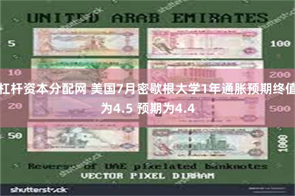 杠杆资本分配网 美国7月密歇根大学1年通胀预期终值为4.5 预期为4.4