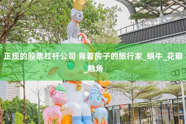 正规的股票杠杆公司 背着房子的旅行家_蜗牛_花瓣_触角