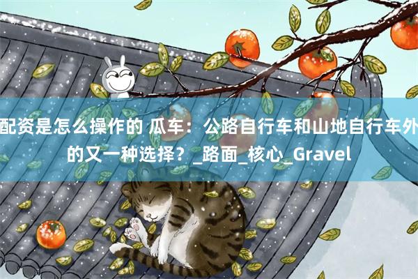 配资是怎么操作的 瓜车：公路自行车和山地自行车外的又一种选择？_路面_核心_Gravel