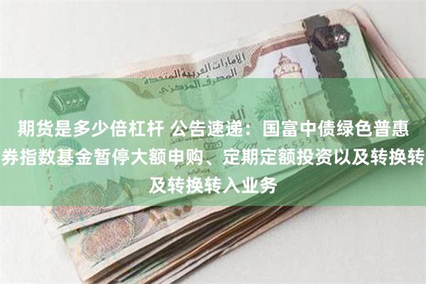 期货是多少倍杠杆 公告速递：国富中债绿色普惠金融债券指数基金暂停大额申购、定期定额投资以及转换转入业务
