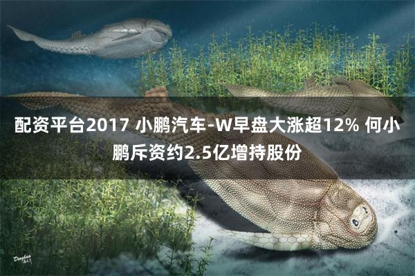 配资平台2017 小鹏汽车-W早盘大涨超12% 何小鹏斥资约2.5亿增持股份