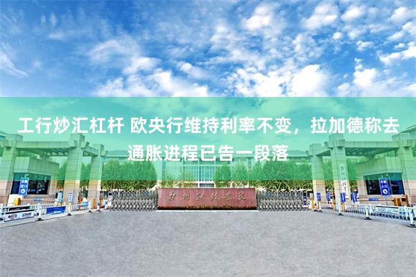 工行炒汇杠杆 欧央行维持利率不变，拉加德称去通胀进程已告一段落