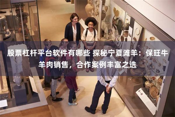 股票杠杆平台软件有哪些 探秘宁夏滩羊:保旺牛羊肉销售,合作案例丰富之选
