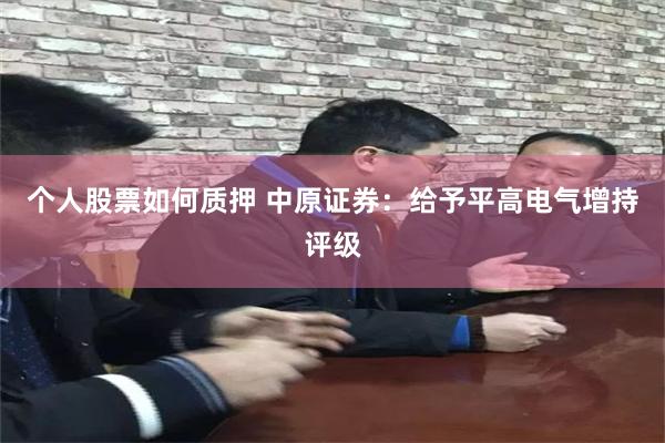 个人股票如何质押 中原证券：给予平高电气增持评级