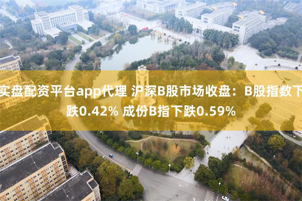 实盘配资平台app代理 沪深B股市场收盘：B股指数下跌0.42% 成份B指下跌0.59%